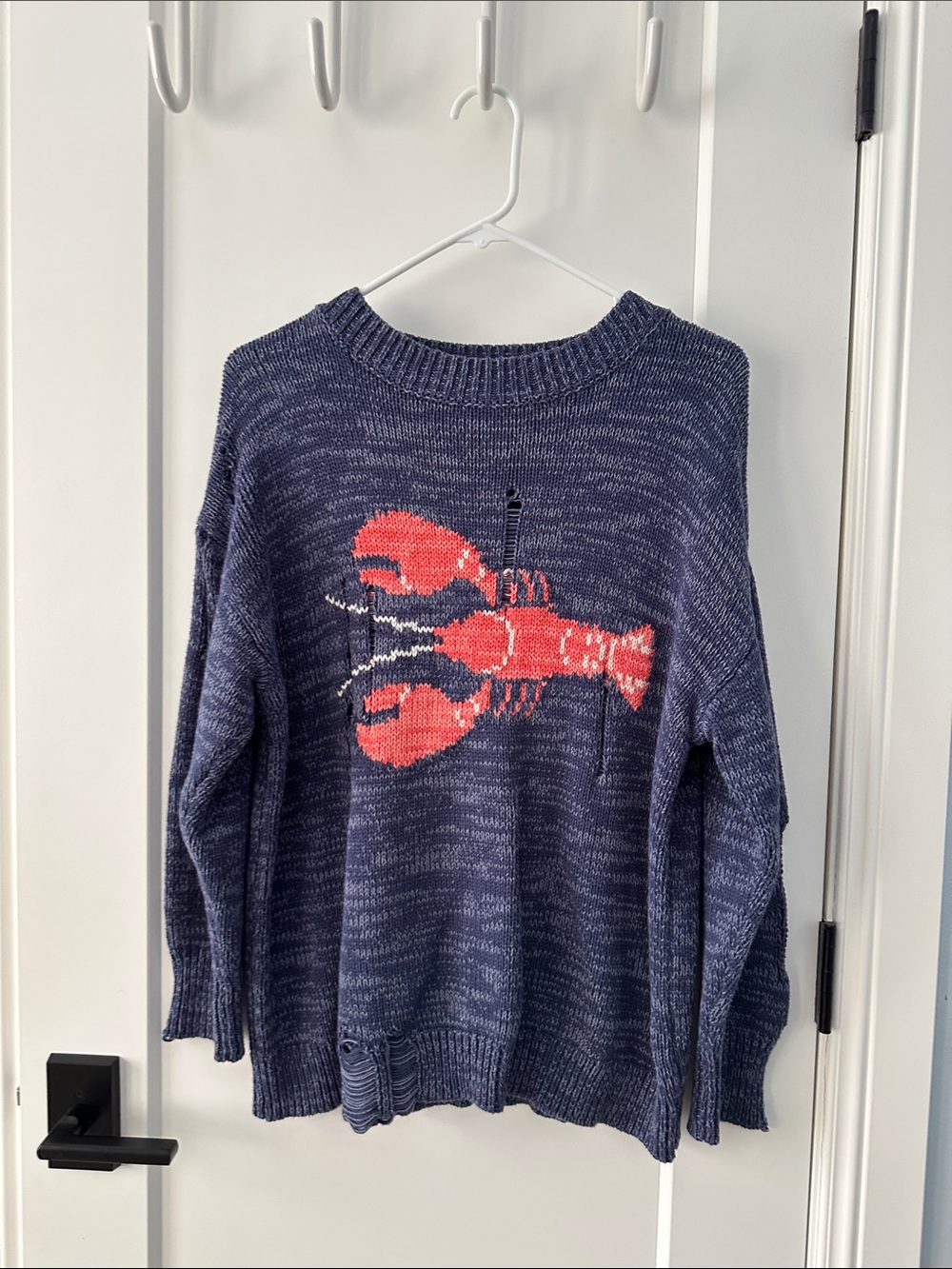 Navy Sweater with Coral Lobster Motif